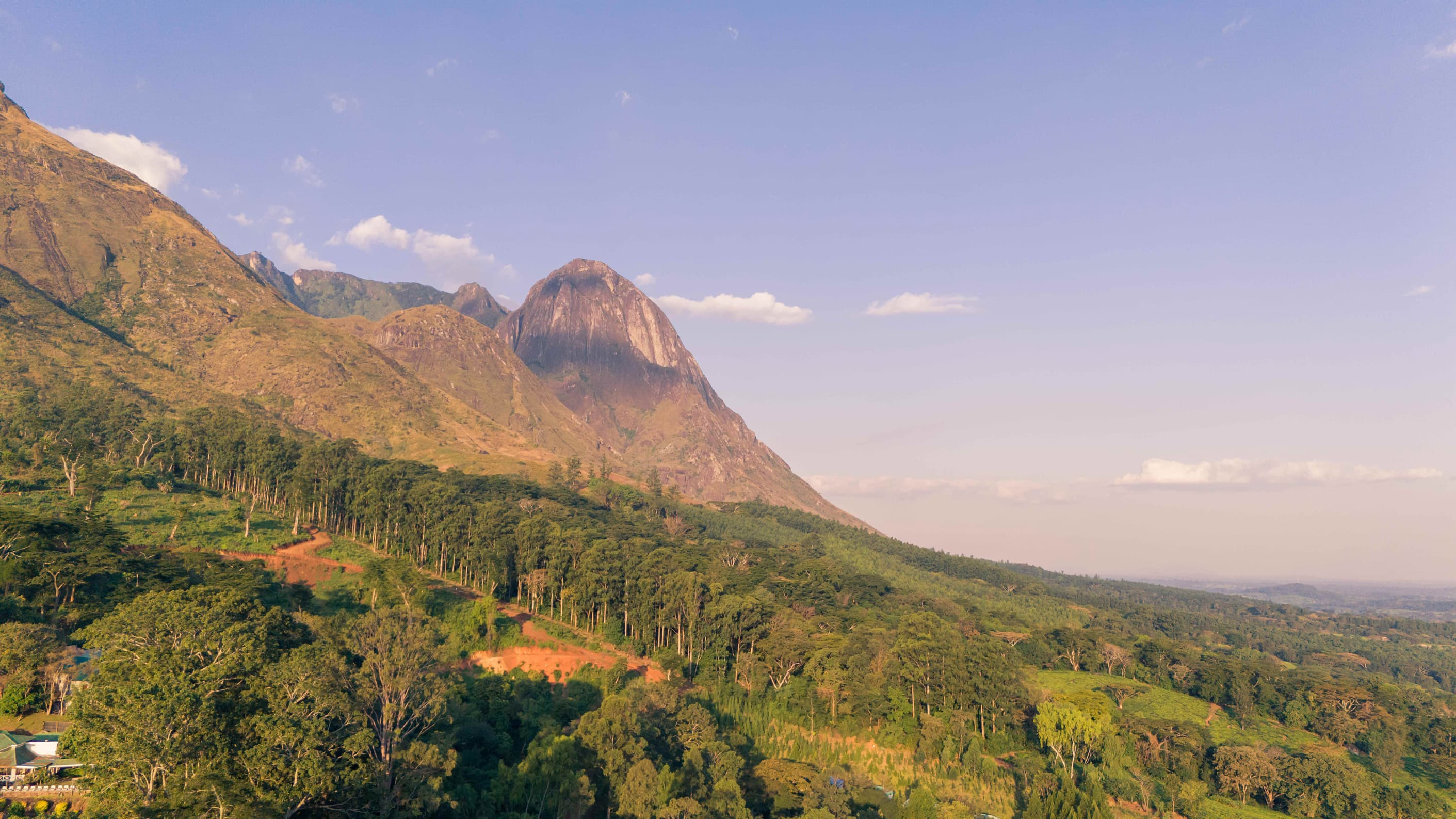 exp inner page content images